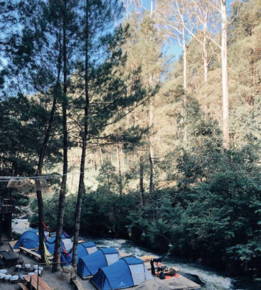 Eksplor Hutan Pinus Rahong yang Instagramable