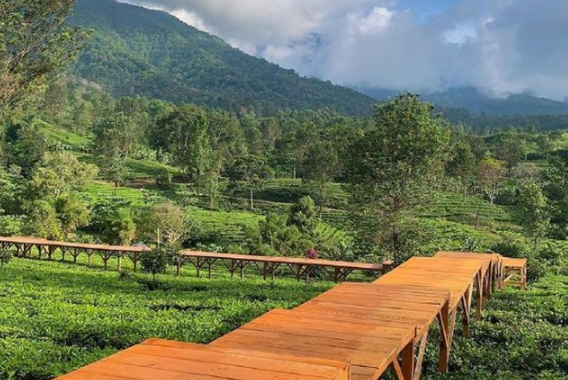 Destinasi Wisata Hits di Puncak Bogor yang Wajib Dikunjungi